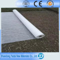 LLDPE Geomembrane für Containment Liner